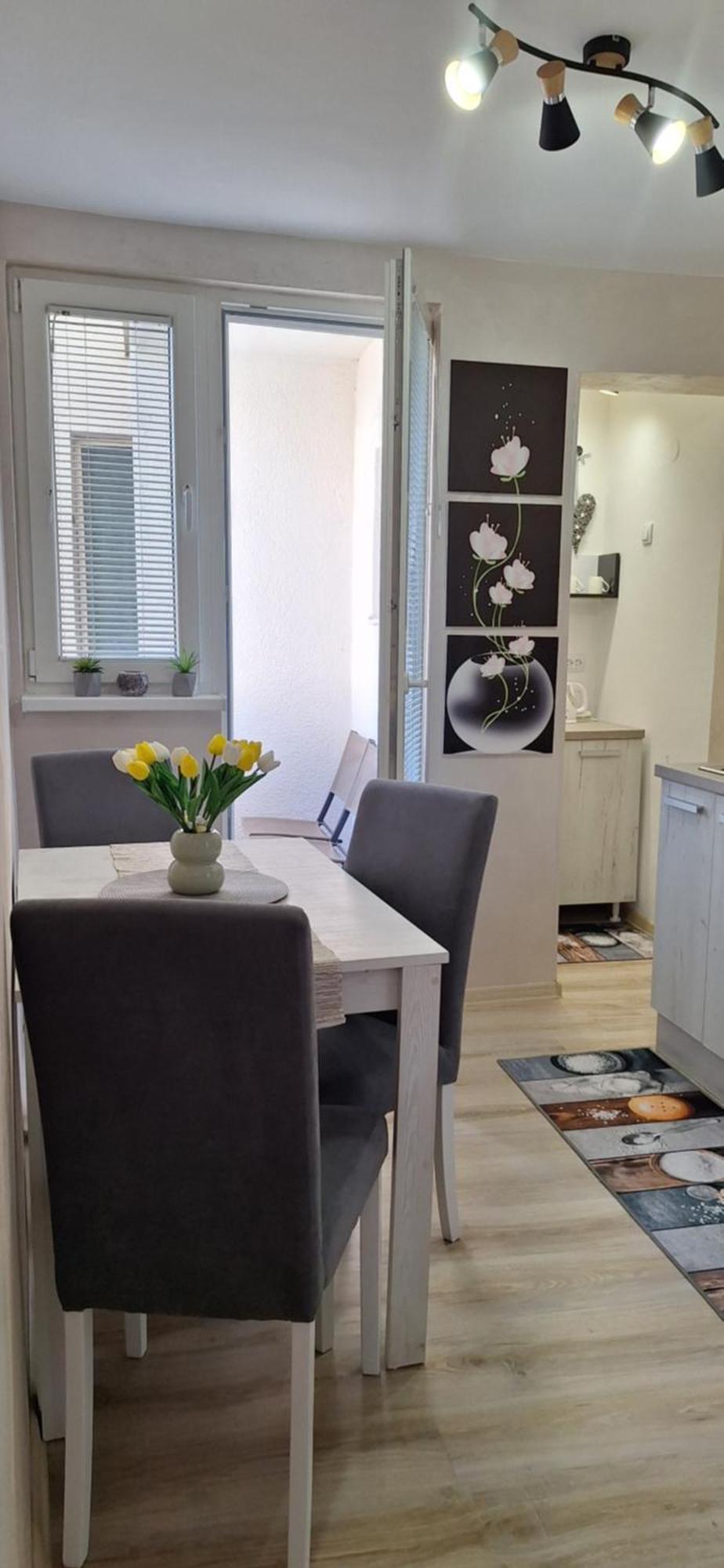 סובוטיקה Apartman Lara מראה חיצוני תמונה